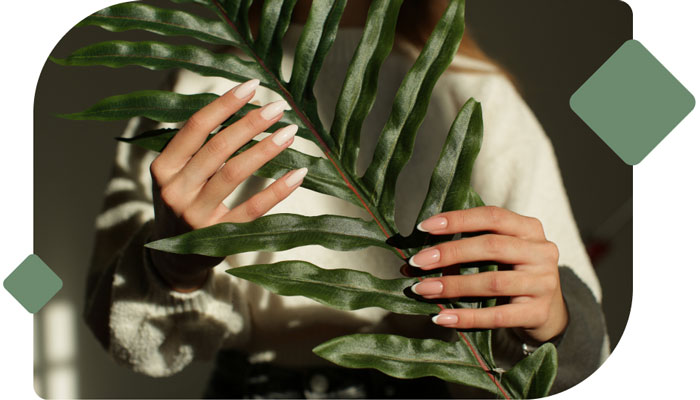 allvipnailsclovis